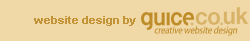 website design by Guice Creative Website Design