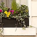 Window Box